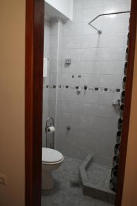 a bathroom with a toilet and a shower at Guesthouse Ušće in Višegrad