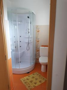 ein Bad mit einer Dusche und einem WC in der Unterkunft Casa de vacanta Macovei0744 in Polovragi