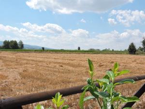 Paesaggio naturale nelle vicinanze of country house
