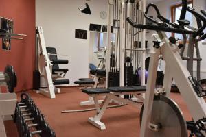 Posilňovňa alebo fitness centrum v ubytovaní Penzion Bělidlo