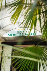 a hotel monte carlo sign behind a palm tree at Hotel Montecarlo in Rimini