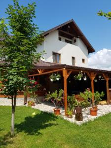 Κήπος έξω από το Casa de vacanta Macovei0744
