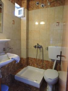 a bathroom with a shower and a toilet and a sink at Astris Beach in Astris