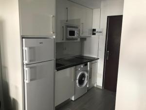 kuchnia z lodówką i pralką w obiekcie Estudio Torre del Mar w mieście Torre del Mar