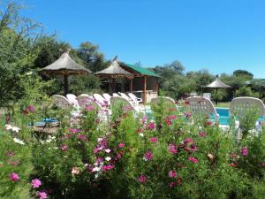 - un groupe de chaises et de fleurs devant la piscine dans l'établissement Cabañas Señales, à San Marcos Sierras