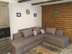 uma sala de estar com um sofá e uma televisão em EcoLodge em Novoselitsa