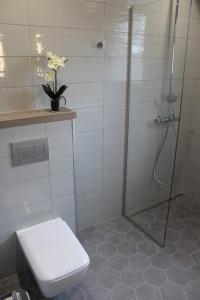 a bathroom with a shower with a toilet and a sink at Naava Chalet Lumi 301 in Ähtäri