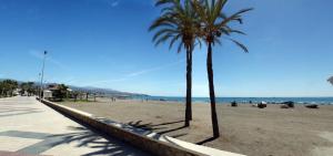 dos palmeras en una playa de arena cerca del océano en Estudio Torre del Mar, en Torre del Mar