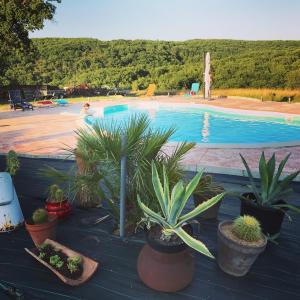 un grupo de plantas sentadas en una mesa junto a una piscina en Domaine du Colombier, Chambres d'Hotes, en Larroque
