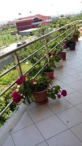 Balcone o terrazza di Guesthouse Fatos Biti