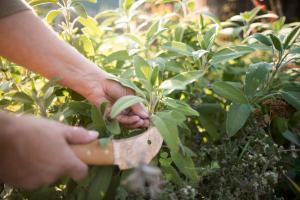 Ảnh trong thư viện ảnh của Kräutererbe Bacherhof ở Nalles +30 ảnh