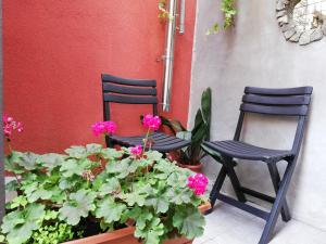 Zahrada ubytování Bed and Breakfast Porta Romana