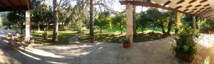 pawilon z krzesłami i drzewami w parku w obiekcie Agriturismo Monte degli Angeli w mieście Serrano