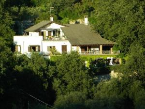 a large white house in the middle of a forest at Casa Gialla in Imperia