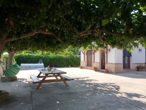 Galeriebild der Unterkunft Caseta Rovira in Deltebre