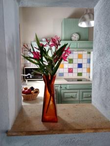 Galeriebild der Unterkunft Caseta Rovira in Deltebre + 34 Fotos