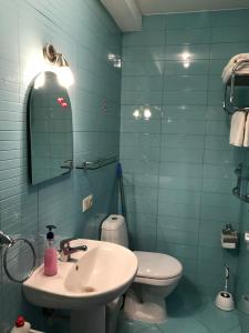 a bathroom with a sink and a toilet and a mirror at Vila Saulė in Palanga +36 photos