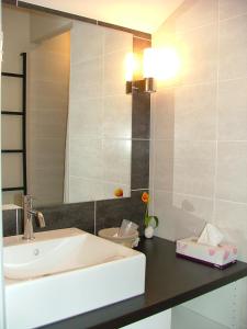 a bathroom with a sink and a mirror at Les Enselmes in Montagnieu