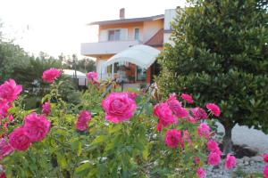 a bunch of pink roses in front of a house at La Farfalla in Fossacesia