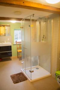 La salle de bains est pourvue d'une douche avec une porte en verre. dans l'établissement Ferienwohnung am Pochebach, à Jonsdorf