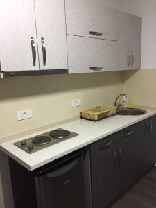 Gallery image of Madzar Apartments in Star Dojran