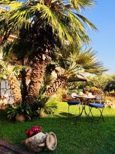 坎帕尼亞的住宿－Casa Vacanze San Paolo，棕榈树庭院里的桌椅