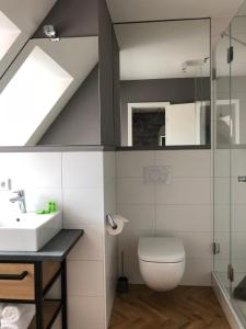 a bathroom with a toilet and a sink at Bayerischer Hof in Ingolstadt +28 photos