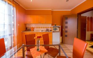 A kitchen or kitchenette at Penzion Sonja