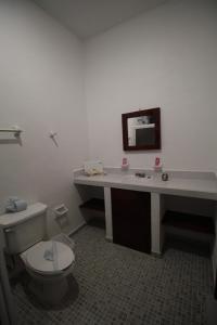 a bathroom with a toilet and a sink and a mirror at Villas Roseliz in Punta Allen