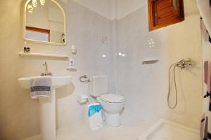 ein Bad mit einem WC, einem Waschbecken und einer Dusche in der Unterkunft Pension Andromeda in Patitiri