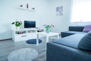 a living room with a couch and a tv at Apartman Višnja in Slunj