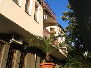 una planta en una olla frente a un edificio en Apartment Domino, en Belogradchik