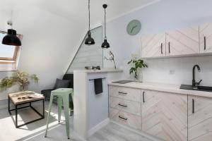 Kuchyň nebo kuchyňský kout v ubytování Pokoje i Apartamenty Poddąbie 2