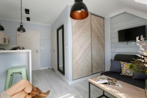 TV a/nebo společenská místnost v ubytování Pokoje i Apartamenty Poddąbie 2