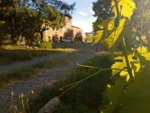 A garden outside Agriturismo Podere Molino
