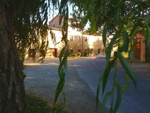 a tree with leaves in front of a building at Agriturismo Podere Molino in Peccioli