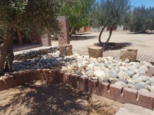 a pile of rocks in a yard with trees at Estancia Los Amigos Valle de Guadalupe in Valle de Guadalupe