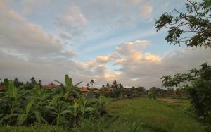 Gallery image of Pondok Gadri Villa Ubud in Ubud