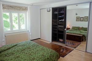 1 dormitorio con cama y espejo grande en Riverview apartment Three Springs Tri Zvira, en Zamost