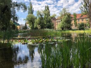 Príroda v okolí apartmánu