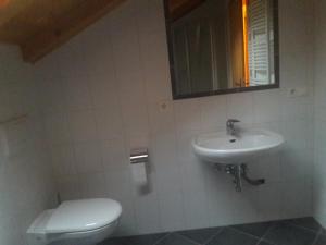 La salle de bains est pourvue de toilettes, d'un lavabo et d'un miroir. dans l'établissement Hofschank Reinalterhof, à Malles Venosta