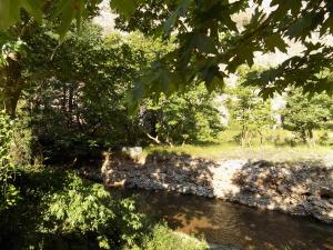 a view of a river with trees in the foreground at Guesthouse Eleftherios in Kalavrita