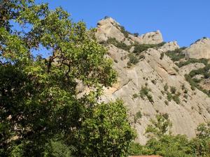 a rocky mountain with trees in front of it at Guesthouse Eleftherios in Kalavrita