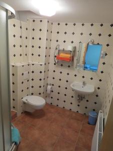 uma casa de banho com um WC e um lavatório em Ferienwohnung Morgensonne em Bad Schandau