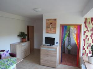 a living room with a television and a colorful door at Ferienwohnung Morgensonne in Bad Schandau