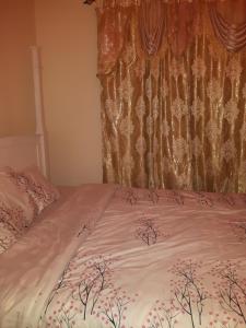 a bed with a pink blanket and a curtain at A Home away from home in Ruaka