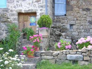 a stone building with potted flowers in front of a door at Mas Casta Néa in Thueyts