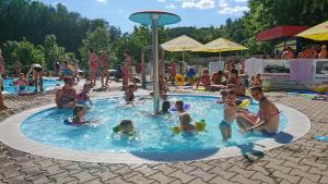 um grupo de pessoas numa piscina em Chatky-Bítov 399 em Bítov