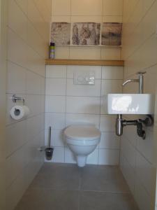 a small bathroom with a toilet and a sink at Grimaud 151 - Kustpark Village Scaldia in Hoofdplaat +30 photos