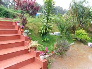 Zahrada ubytování Cauvery Homestay